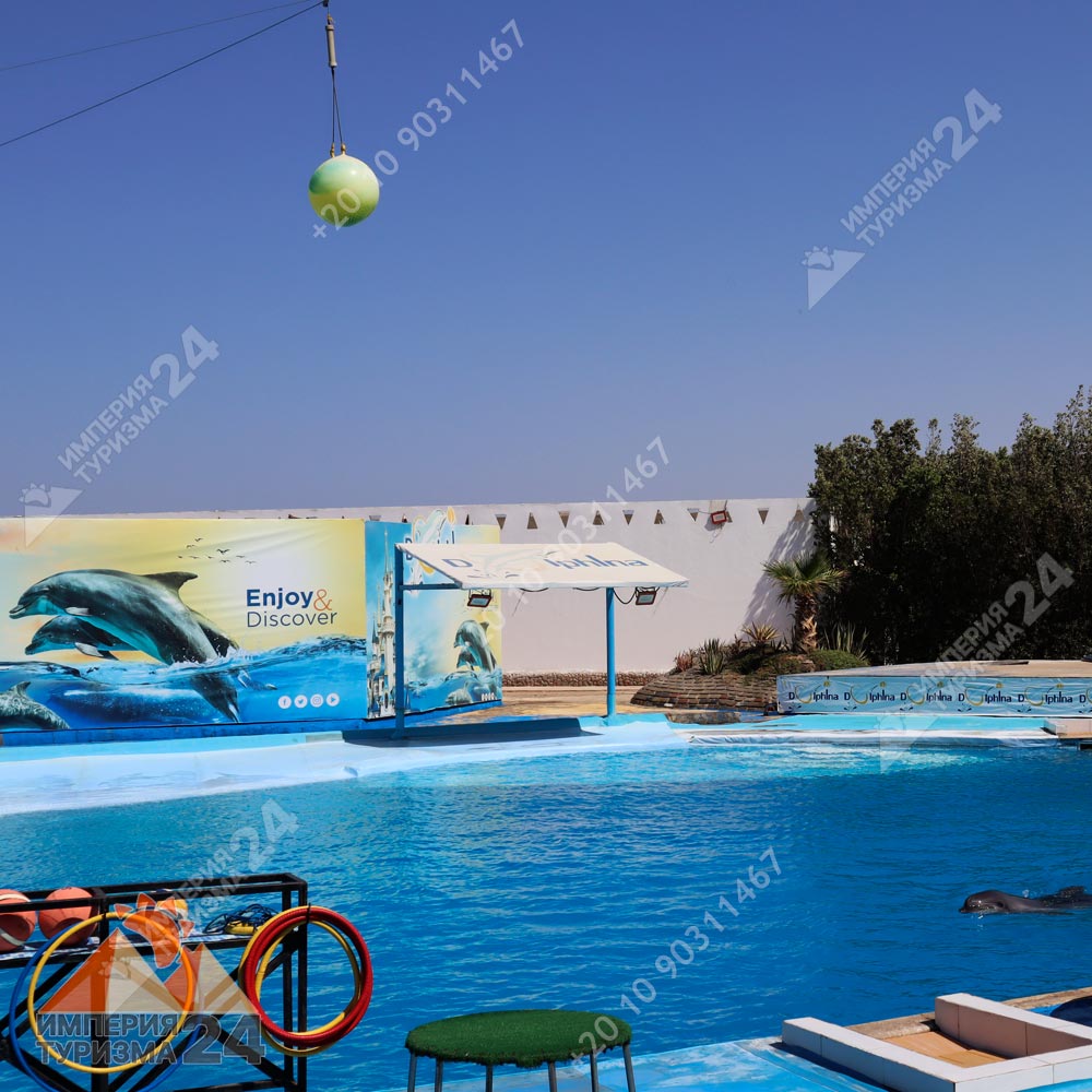 Экскурсия в дельфинарий в Хургаде