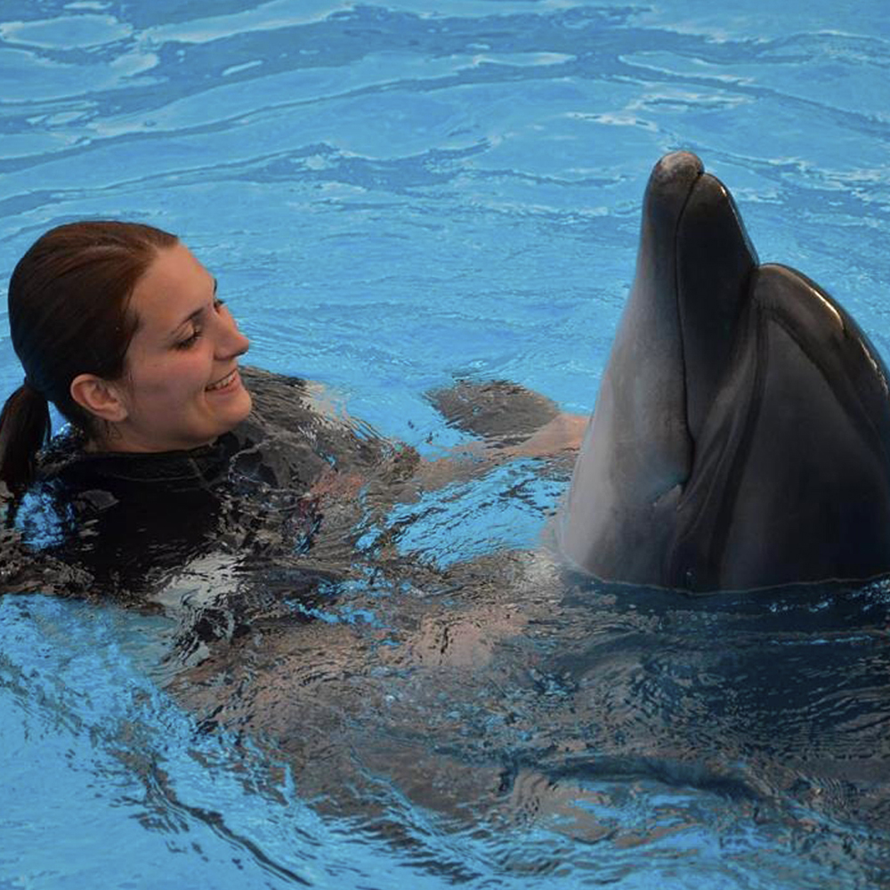 Плавание с дельфинами в Хургаде