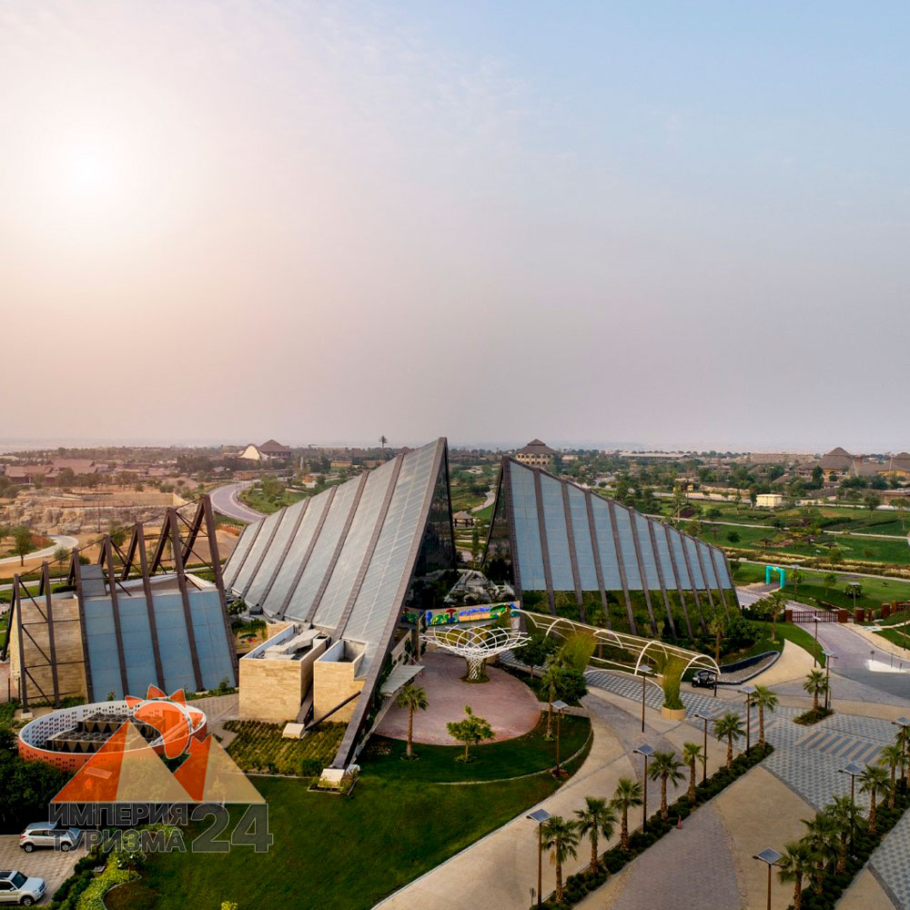 Билеты в Дубайский сафари-парк