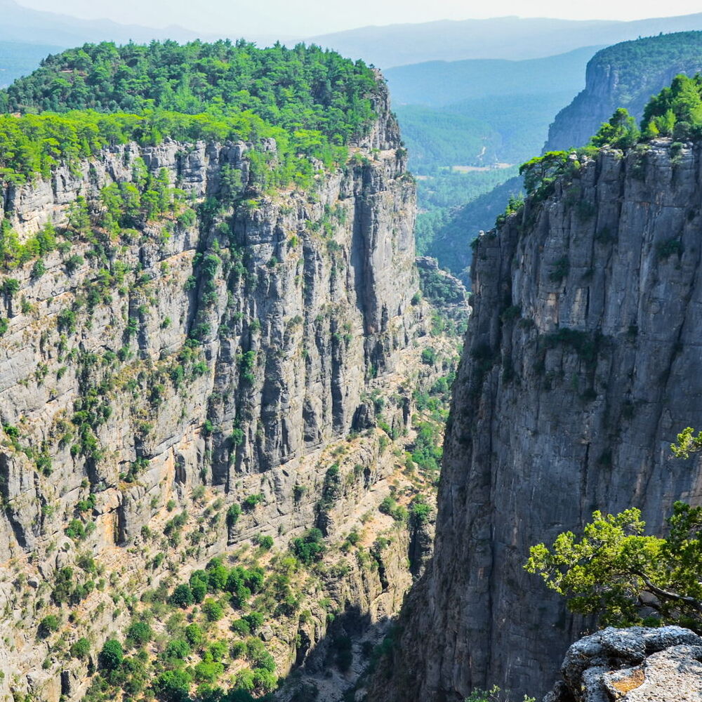 Зелёный каньон