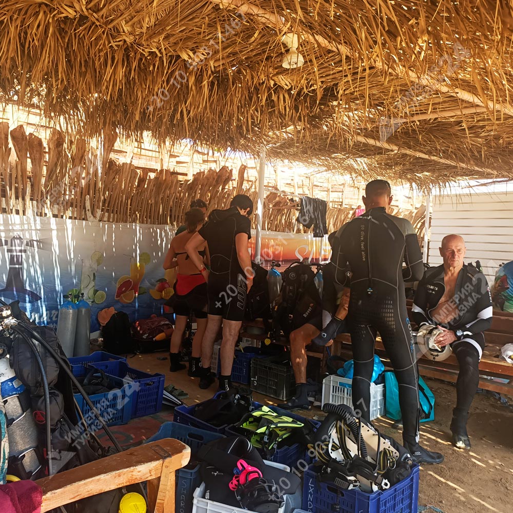 Дайвинг с берега в Эль Фанаре