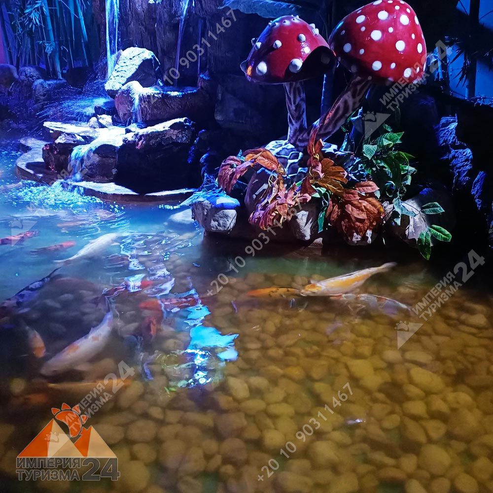 Экскурсия в Гранд Аквариум в Хургаде