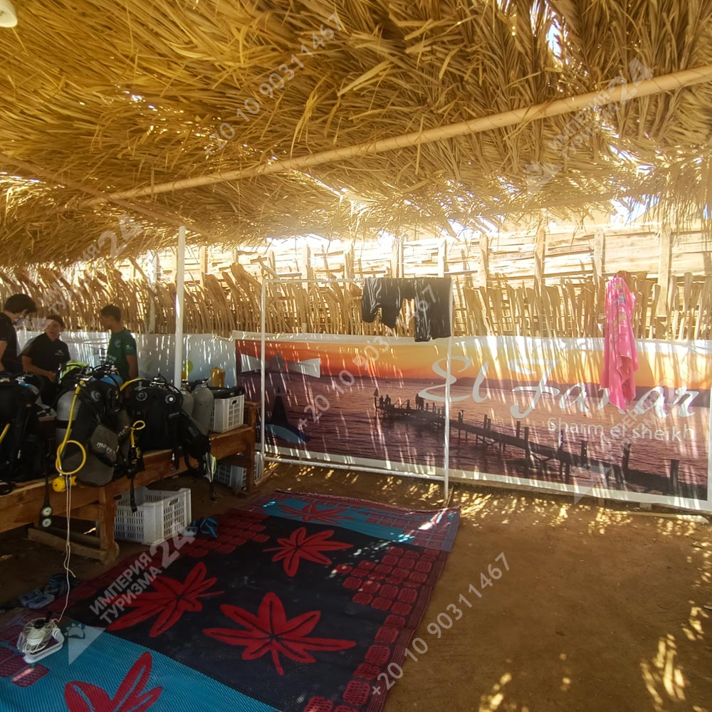 Дайвинг с берега в Эль Фанаре