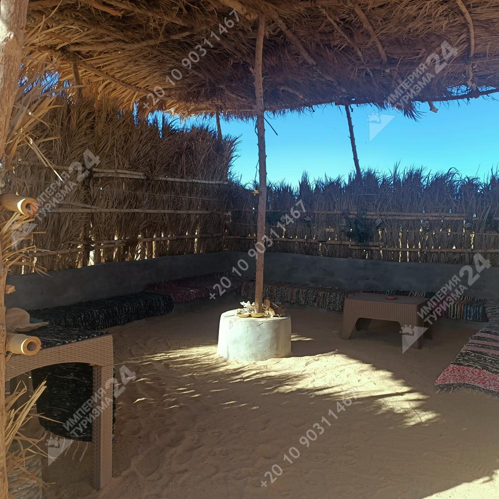 Прогулка на лошадях с купанием в Красном море