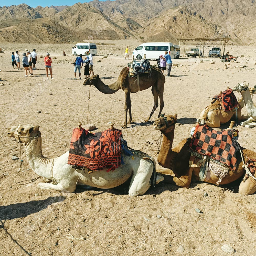 Экскурсия «Цветной каньон Салама 5 в 1»