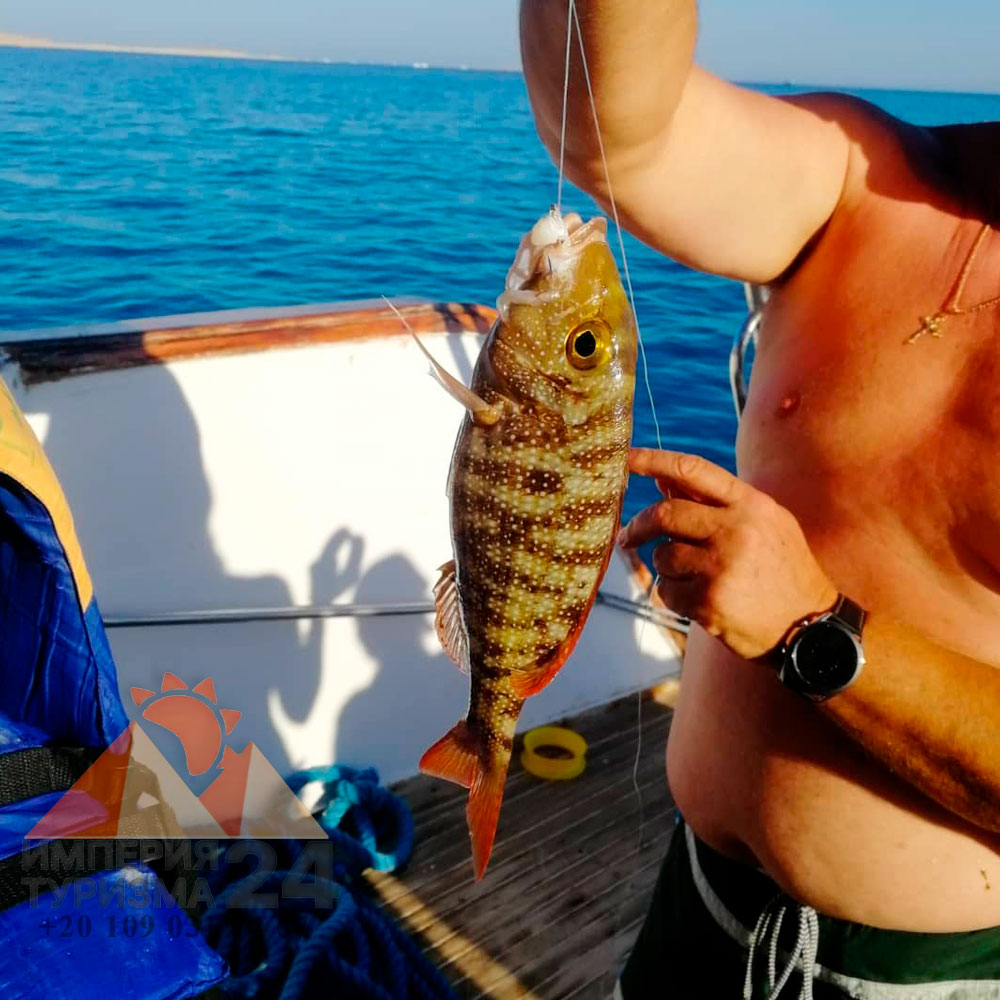 Рыбалка и снорклинг с яхты в Хургаде