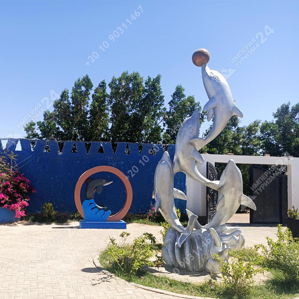 Плавание с дельфинами в Хургаде