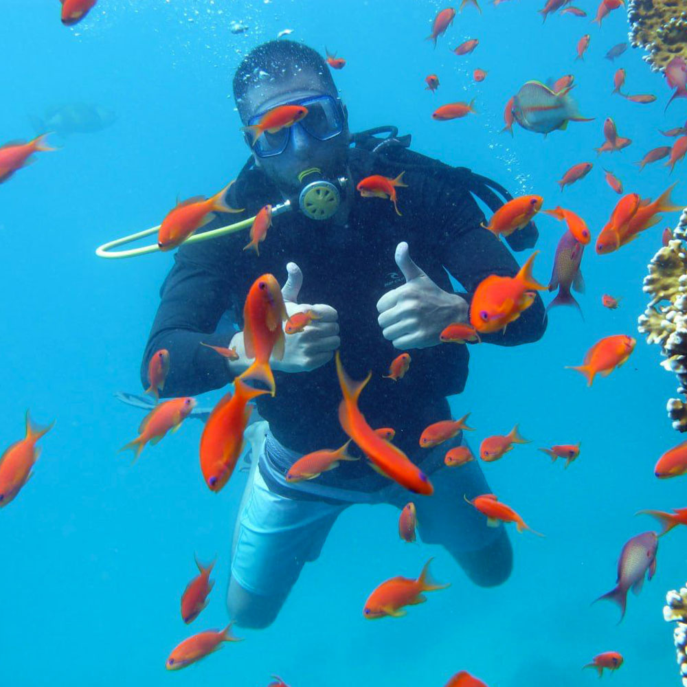 Дайвинг в Хургаде при наличии сертификата