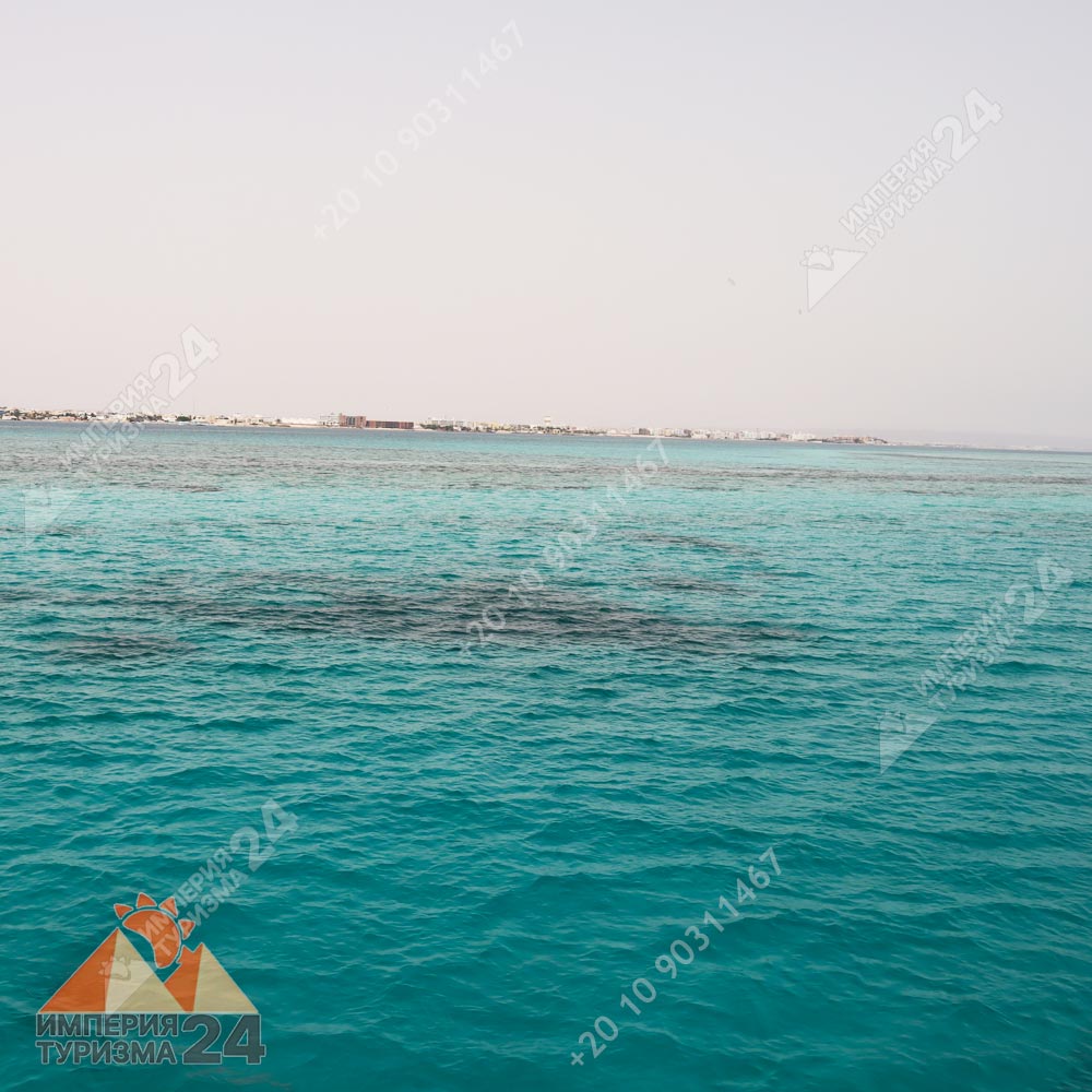 Экскурсия к Дому дельфинов в Хургаде