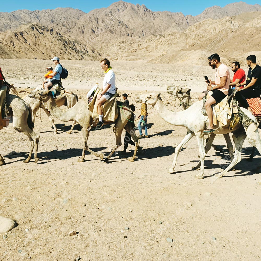 Экскурсия: Каньон Салама 4 в 1 и Голубая Дыра