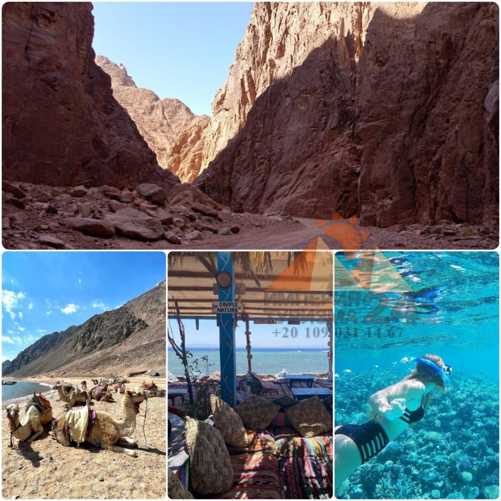 Экскурсия «Дахаб Дискавери 4 в 1»