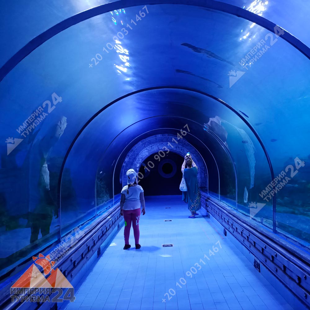 Экскурсия в Гранд Аквариум в Хургаде