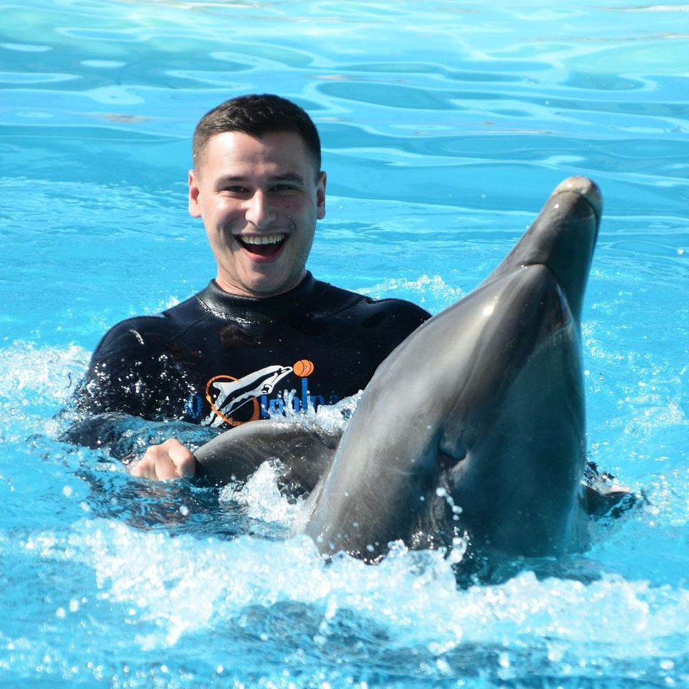 Купание с дельфинами в Шарм-эль-Шейхе