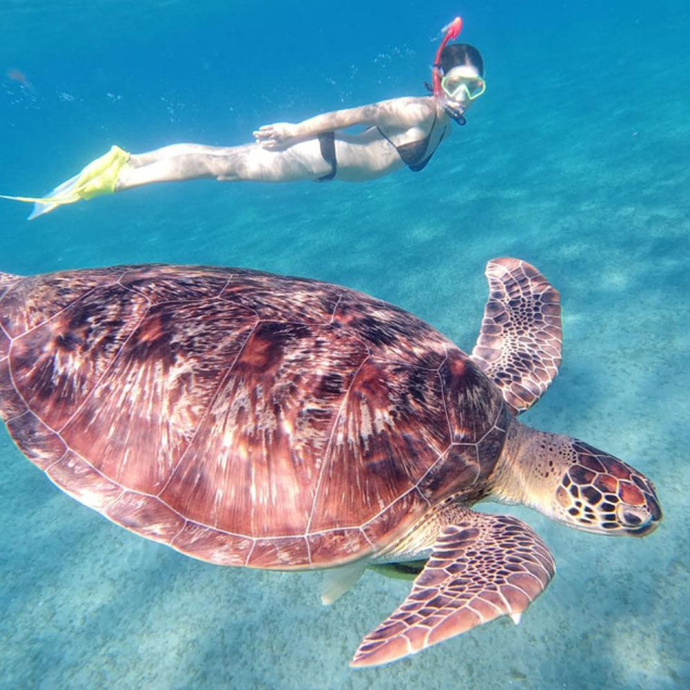 Экскурсия в заповедник Абу Даббаб из Хургады