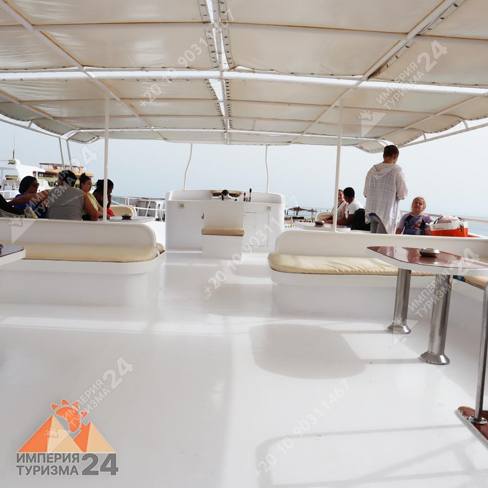 Экскурсия к Дому дельфинов в Хургаде