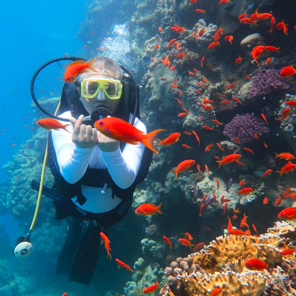 Дайвинг при наличии сертификата близ о.Тиран