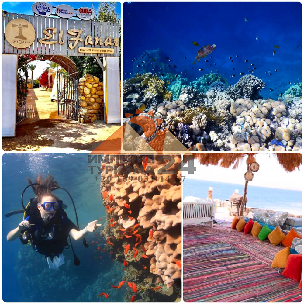 Дайвинг с берега в Эль Фанаре