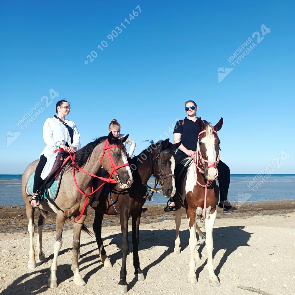 Прогулка на лошадях с купанием в Красном море