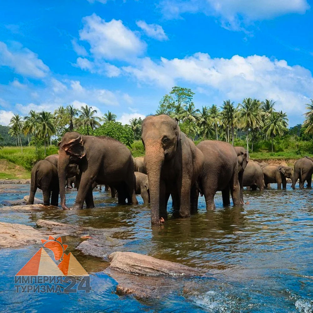 Экскурсия «Канди за 1 день»