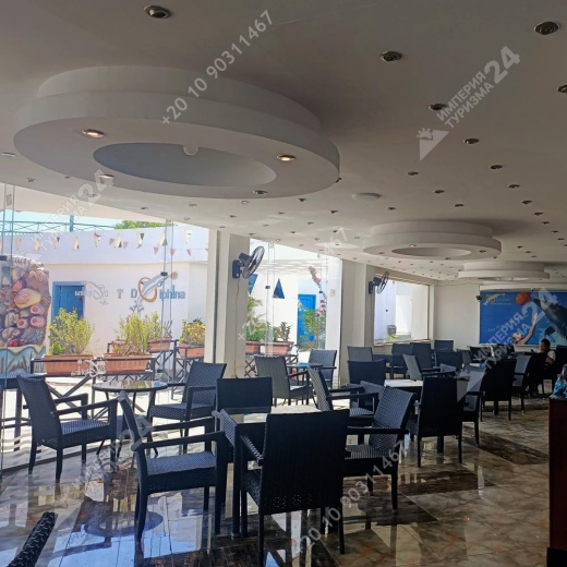 Плавание с дельфинами в Хургаде