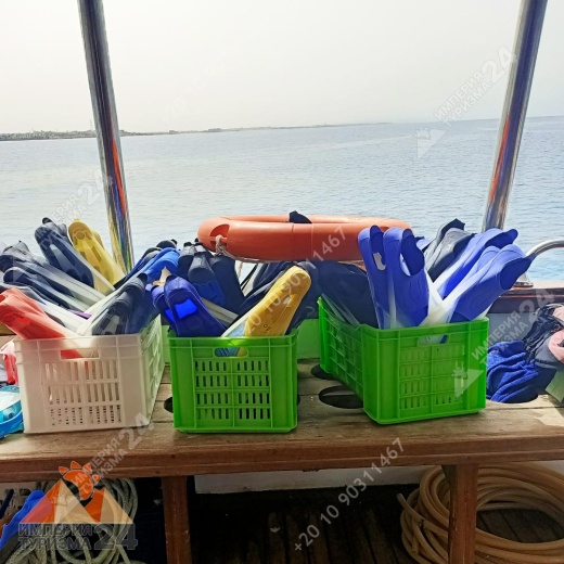 Экскурсия к Дому дельфинов в Хургаде