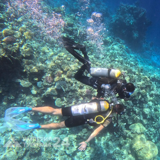 Экскурсия на Белый остров и Рас-Мохаммед