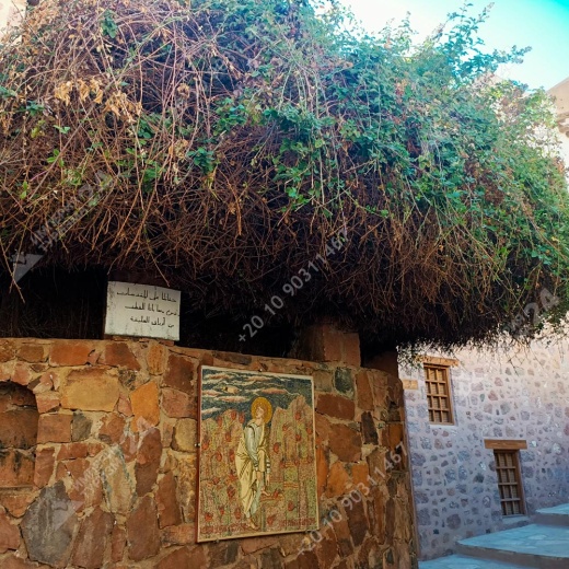 Экскурсия в монастырь Святой Екатерины и гору Моисея