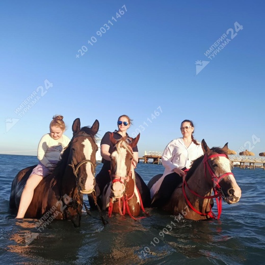 Прогулка на лошадях с купанием в Красном море