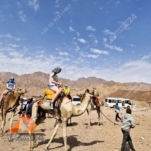 Экскурсия в Wadi El Weshwash