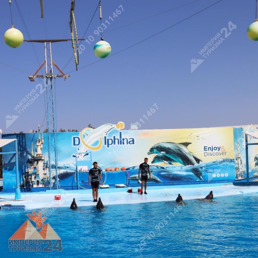 Экскурсия в дельфинарий в Хургаде