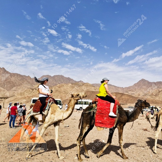 Экскурсия в Wadi El Weshwash