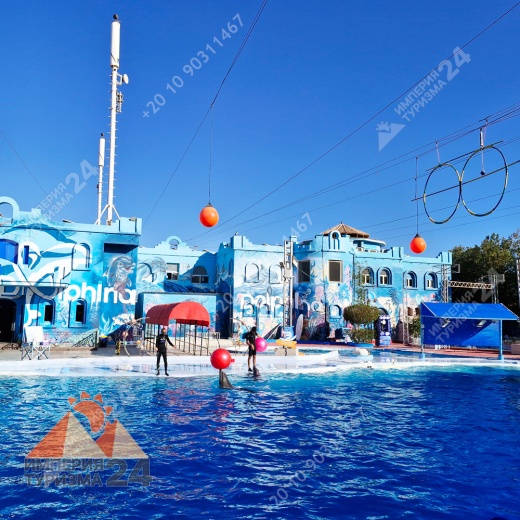 Экскурсия в дельфинарий в Шарм-эль-Шейхе