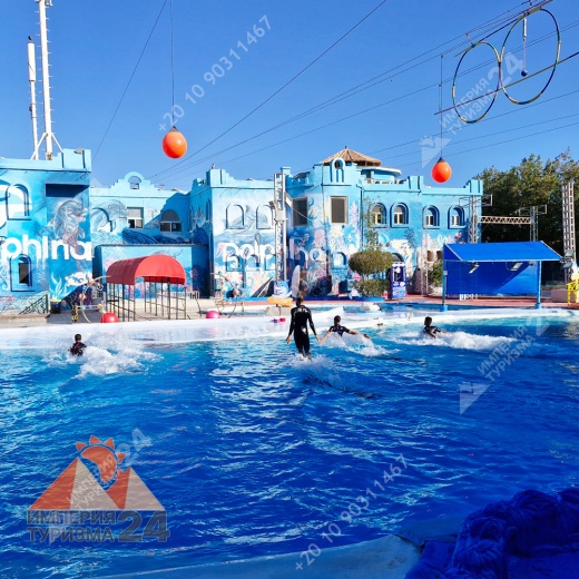 Экскурсия в дельфинарий в Шарм-эль-Шейхе