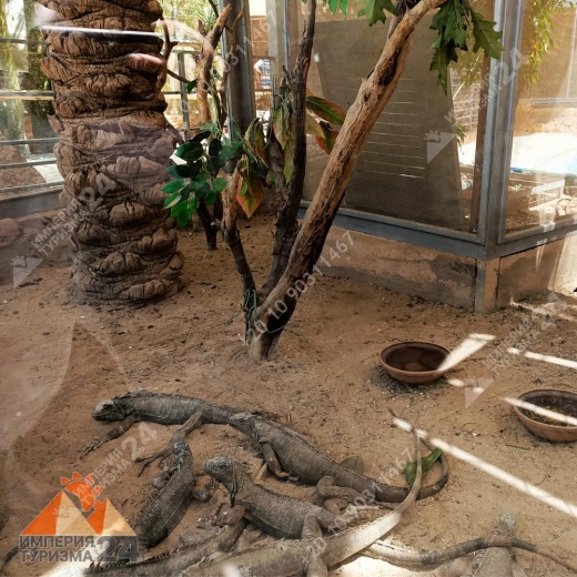 Экскурсия в Гранд Аквариум в Хургаде