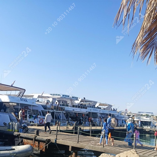 Экскурсия на остров Magawish с дайвингом