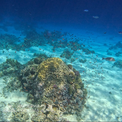 Экскурсия на остров Тиран на яхте с дайвингом