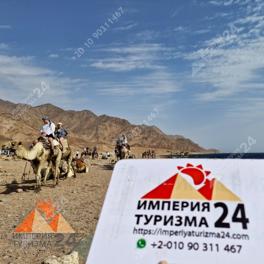 Экскурсия в Wadi El Weshwash