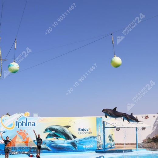 Экскурсия в дельфинарий в Хургаде