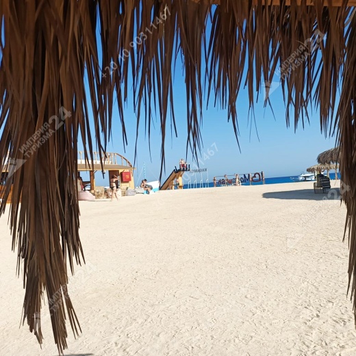 Экскурсия на остров Magawish с дайвингом