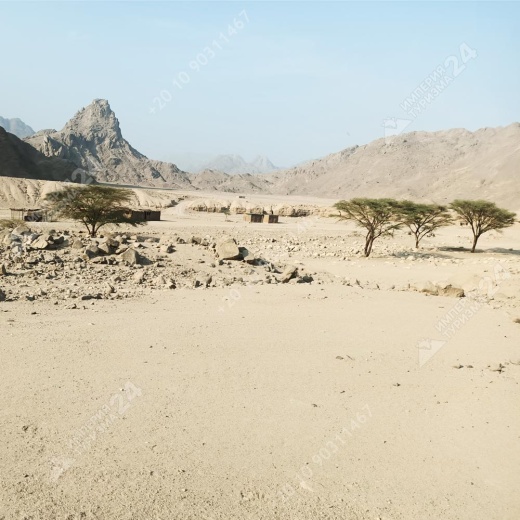 Экскурсия к оазису из Хургады