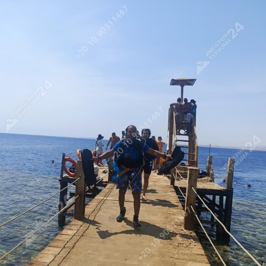 Дайвинг с берега в Эль Фанаре