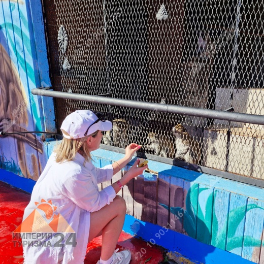 Экскурсия в дельфинарий в Шарм-эль-Шейхе
