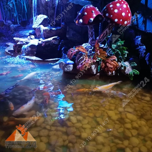 Экскурсия в Гранд Аквариум в Хургаде