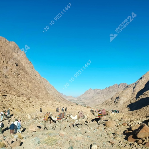 Экскурсия в монастырь Святой Екатерины и гору Моисея