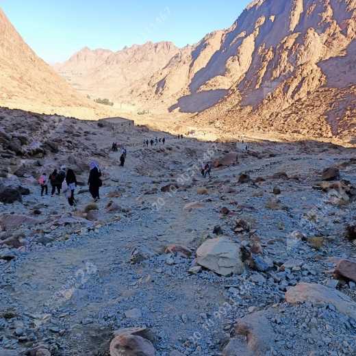 Экскурсия в монастырь Святой Екатерины и гору Моисея