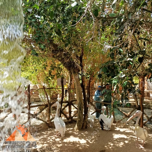 Экскурсия в Гранд Аквариум в Хургаде