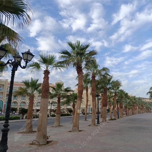 Экскурсия в Сахл-Хашиш и Песочный город