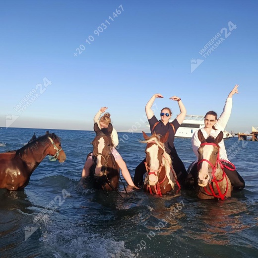 Прогулка на лошадях с купанием в Красном море