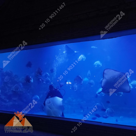 Экскурсия в Гранд Аквариум в Хургаде
