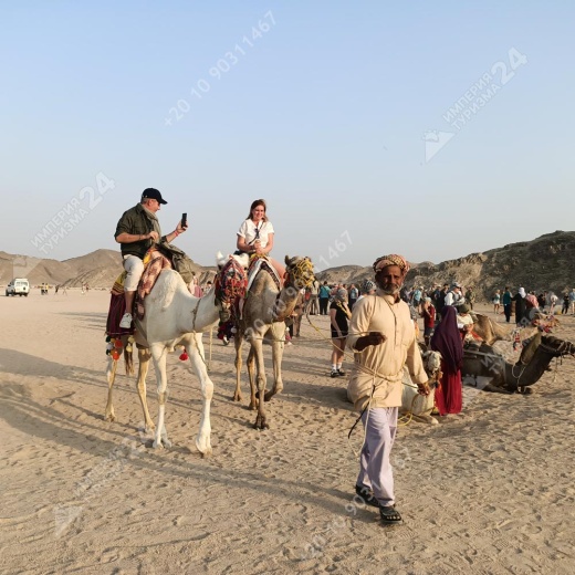 Экскурсия к оазису из Хургады